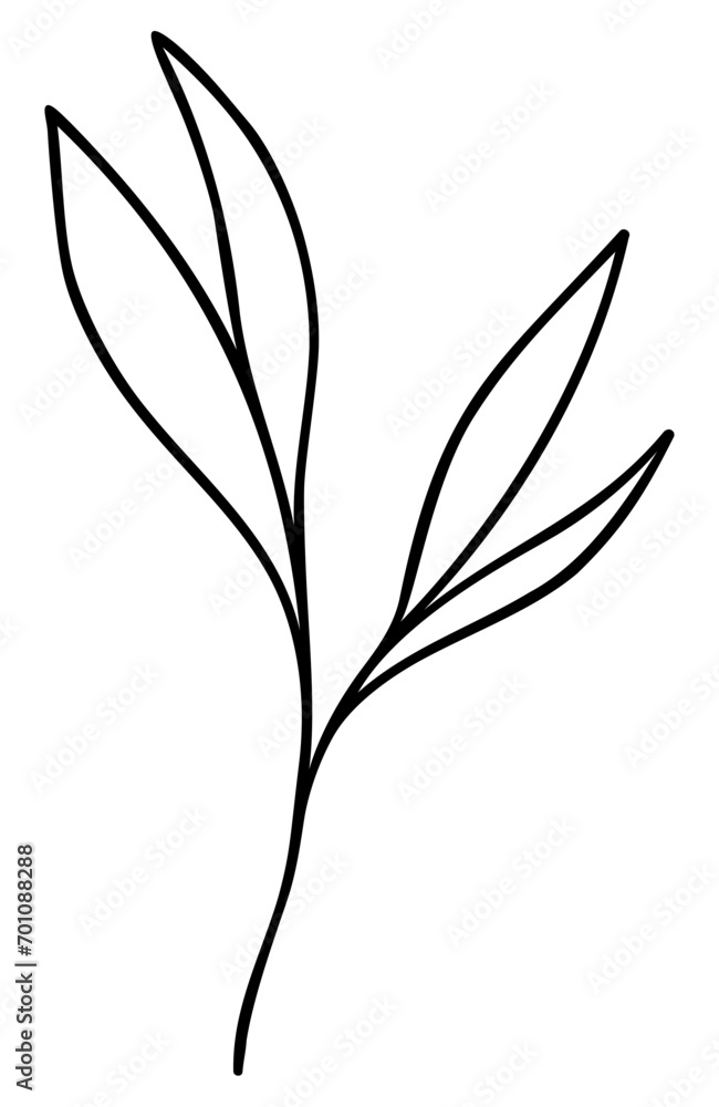 Fototapeta premium Leaf Line Art