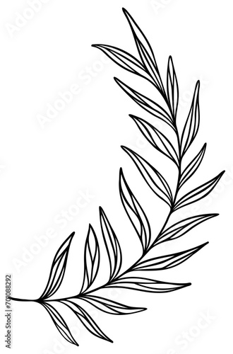 Leaf Line Art Fern