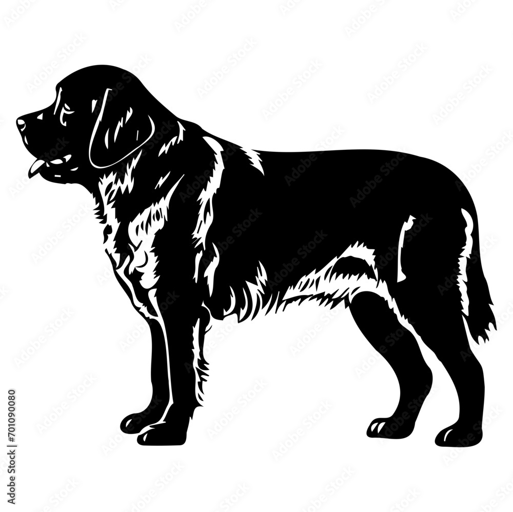 Standing Saint Bernard Dog, Saint Bernard Dog monochrome clip art. Vector illustration