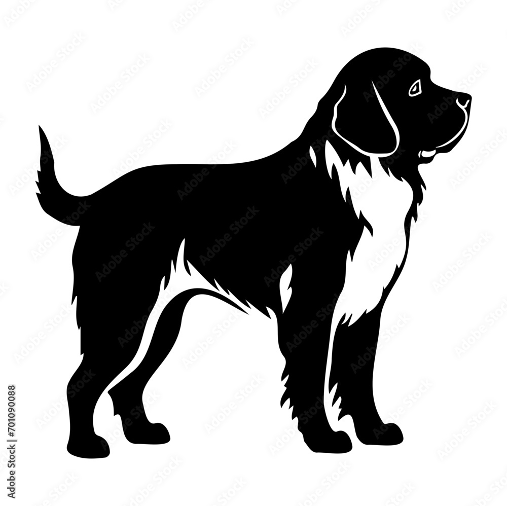 Standing Saint Bernard Dog, Saint Bernard Dog monochrome clip art. Vector illustration Standing Saint Bernard Dog, Saint Bernard Dog monochrome clip art. Vector illustration