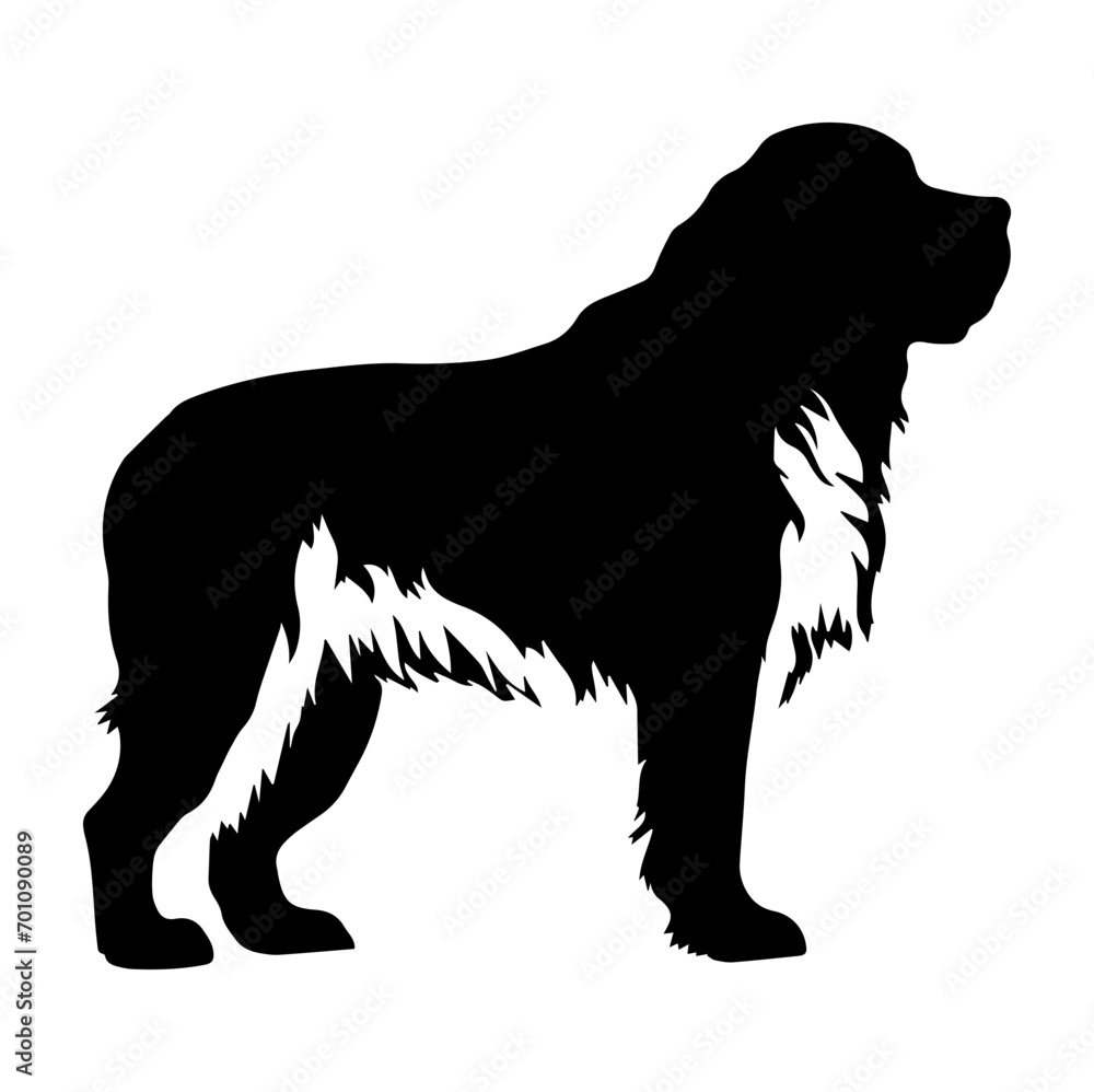Standing Saint Bernard Dog, Saint Bernard Dog monochrome clip art. Vector illustration