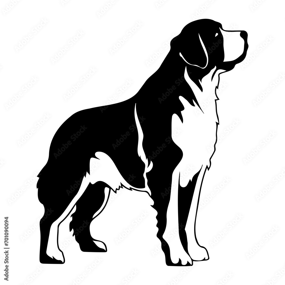 Fototapeta premium Standing Saint Bernard Dog, Saint Bernard Dog monochrome clip art. Vector illustration