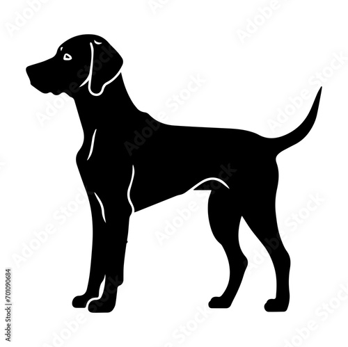 Standing Vizslas Dog  Vizslas Dog monochrome clip art. Vector illustration