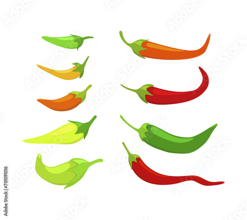 Collection of assorted chili peppers isolated on white. Flat vector design.
