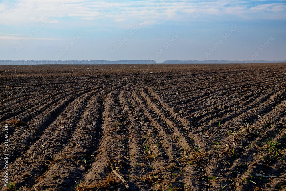 Plowed agricultural land ready for sowing, blue sky above. Plowed agricultural land ready for sowing, blue sky above.