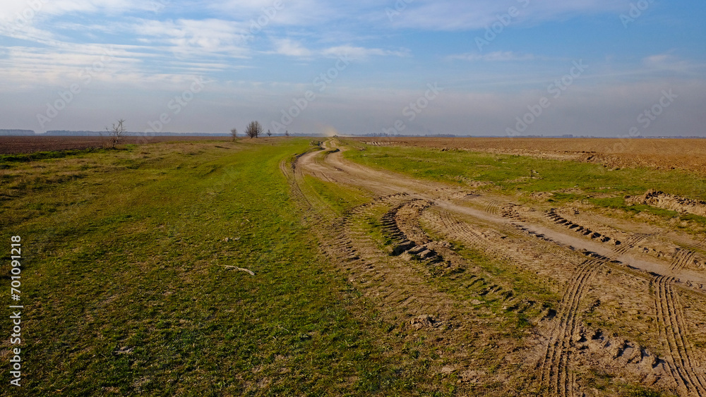 Fototapeta premium A vast open space with greenery and a dirt path marked by vehicle tracks.