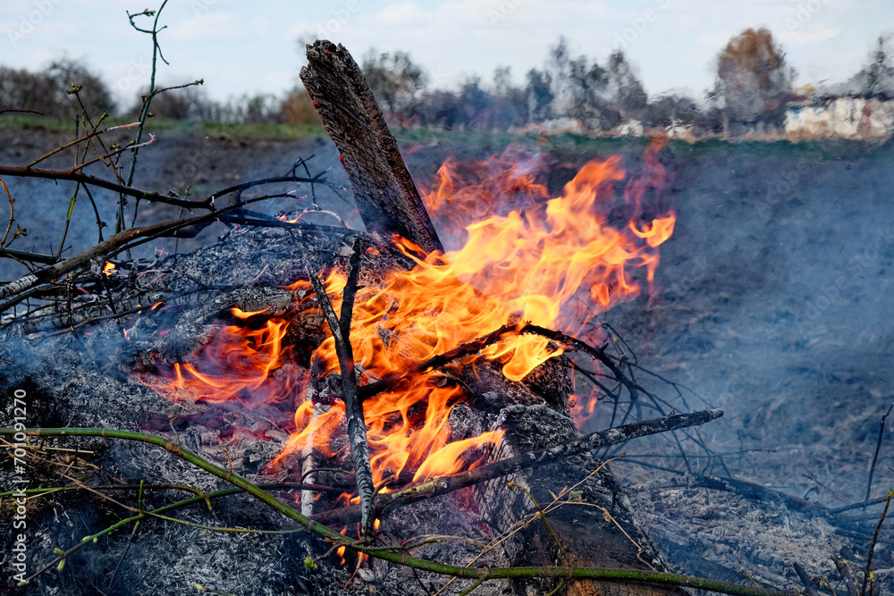 The fire is set in an open field near buildings. Illegal burning of leaves and dry grass.