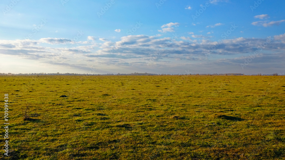 Open grassland, clear skies, and distant horizon.
