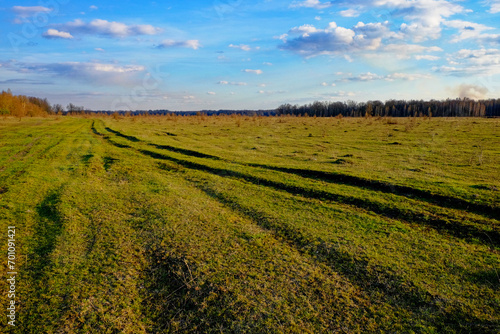 Grassland foreground, tree line midground, sky background.
