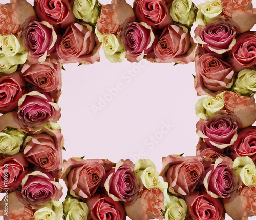 A floral frame made of red  purple  pink and white rose buds against the pink background. Minimal concept of love  romance  affection. Valentine   s card pattern. Copy space. Flat lay.