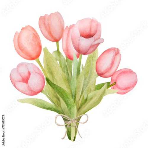 Beautiful pink tulip flowers bouquet watercolor paiting. Spring blossom garden plant aquarelle drawing