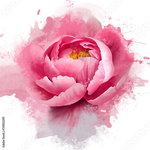 A luxurious pink peony in close-up on a watercolor background. A postcard for any holiday