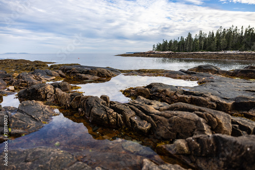 Canvas Print Maine coast line with ocean and rocks and trees