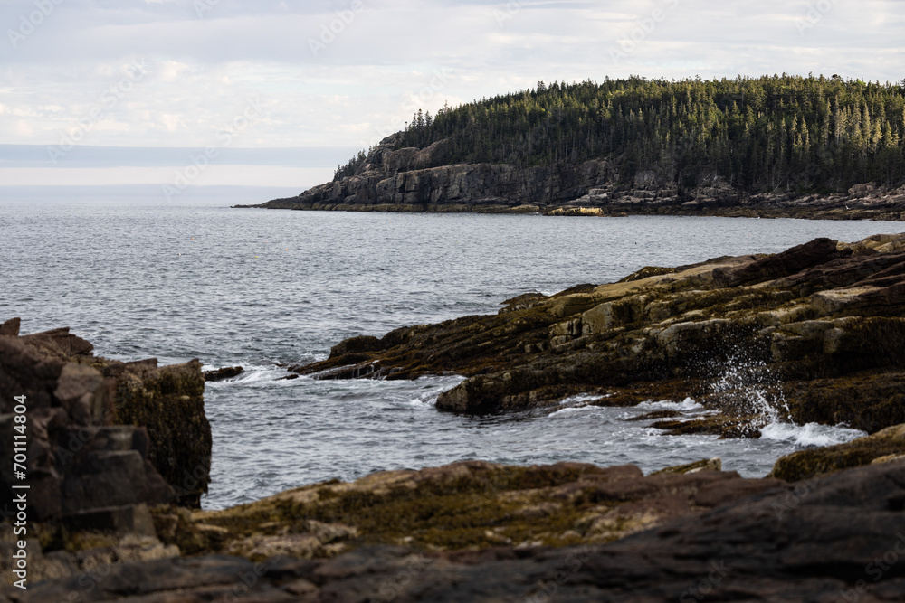 Maine coast line with ocean and rocks and trees Maine coast line with ocean and rocks and trees