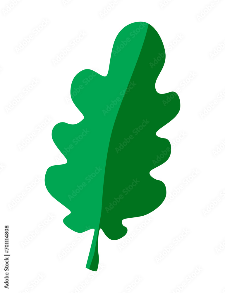Oak leaf. Stylized drawing of an oak leaf. Isolated. Vector image for prints, poster and illustrations. Oak leaf. Stylized drawing of an oak leaf. Isolated. Vector image for prints, poster and illustrations.