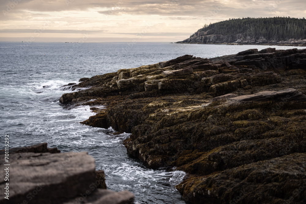Maine coast line with ocean and rocks and trees
