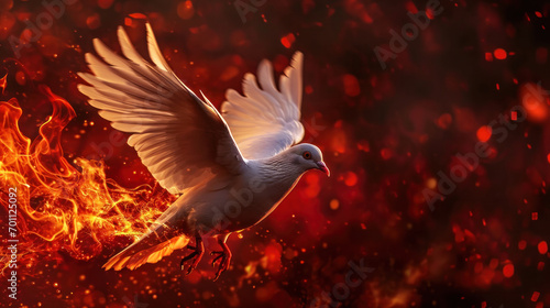 Spirit dove in flame. Pentecost Sunday,