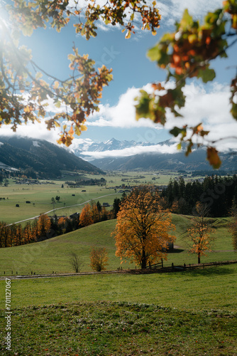 Beautiful autumn scenery with golden foliage trees and snowy mountain tops in Saalfelden, Salzburger Land, Austria