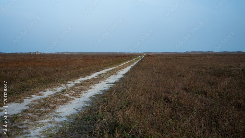 Sandy trail path leading to the horizon through the grass on barrier island of the Gulf coast on cloudy day concept of road less traveled or broken road
