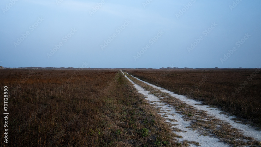 White sandy tracked path leading to the horizon through the grass on barrier island of the Gulf coast; on cloudy day  concept of road less traveled or broken road