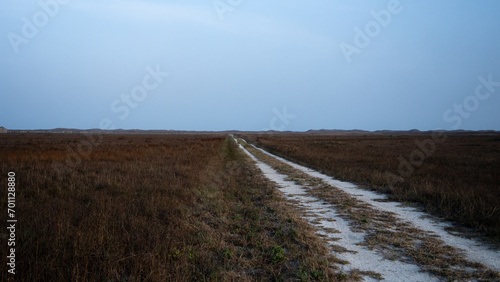 White sandy tracked path leading to the horizon through the grass on barrier island of the Gulf coast  on cloudy day  concept of road less traveled or broken road