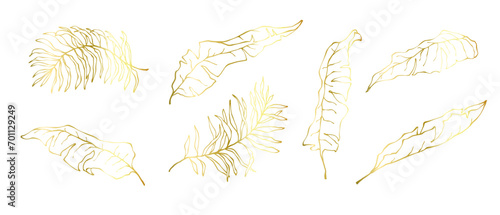 Golden linear sketches of tropical leaves.Decorative botanical elements.Vector graphics.