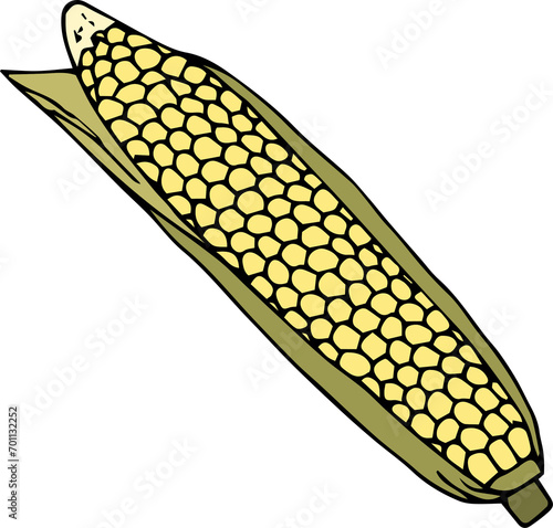 Image of corn on a transparent background