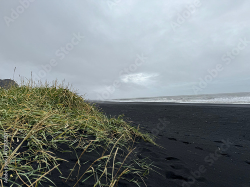Black sand beach  Vik  Iceland
