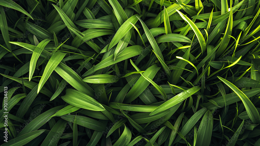 Realistic Perfect Green Grass Texture with Even Length and Unfocused Background Realistic Perfect Green Grass Texture with Even Length and Unfocused Background