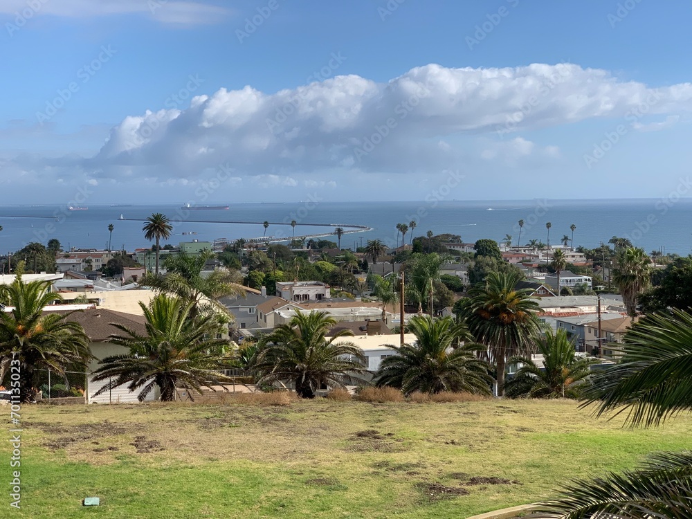 beach with palm trees