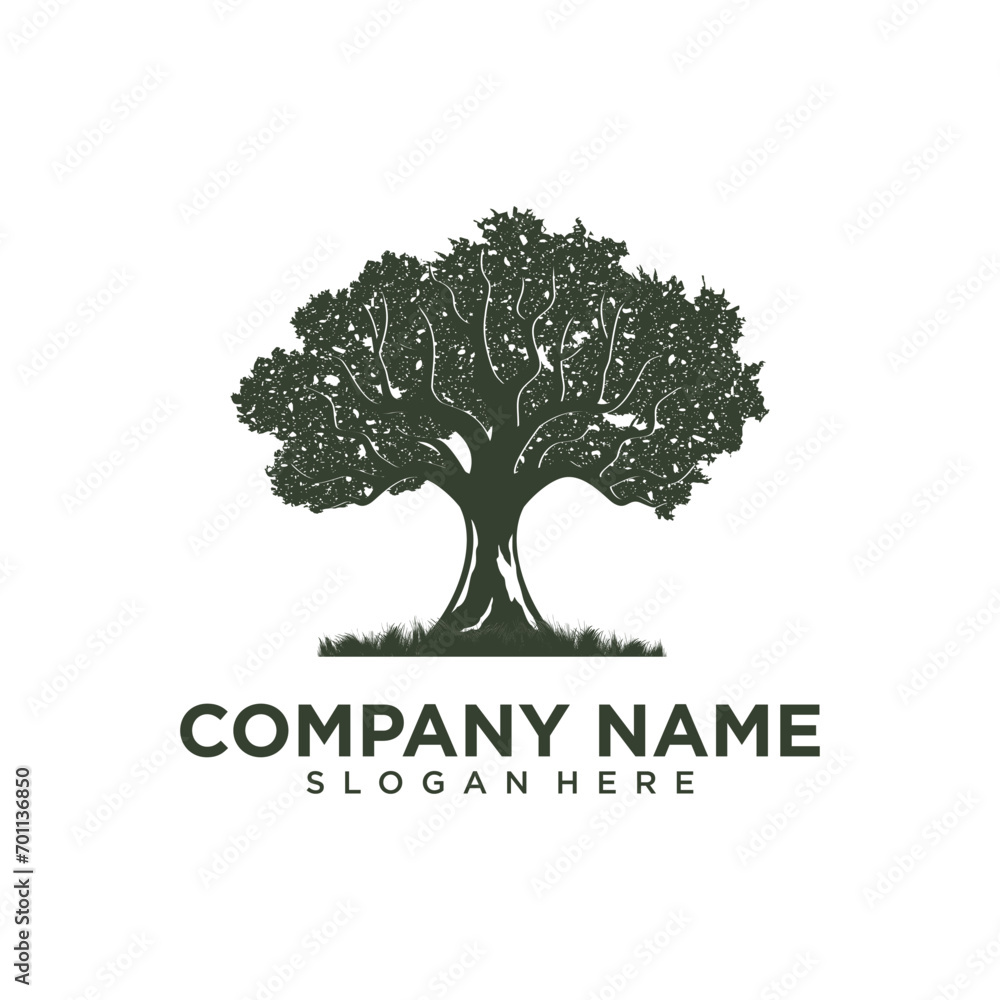 Obraz premium Oak maple for tree services, Arborist Tree Service