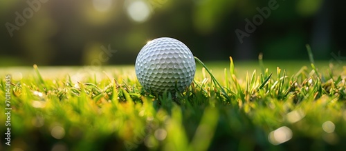 close up of golf ball with blurred background