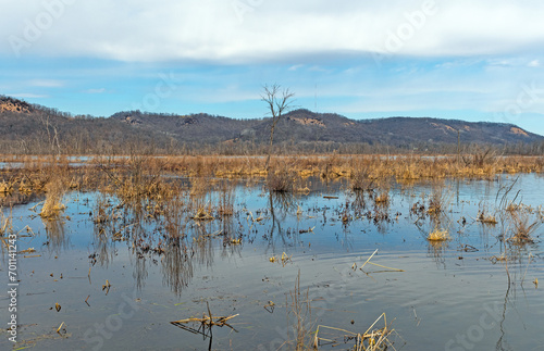 Mississippi River View in the Early Spring photo