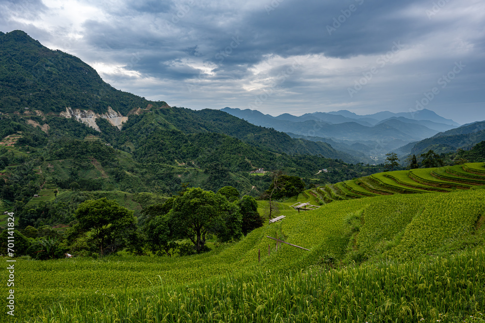 Fototapeta premium Mountain landscape with rice fields - Vietnam