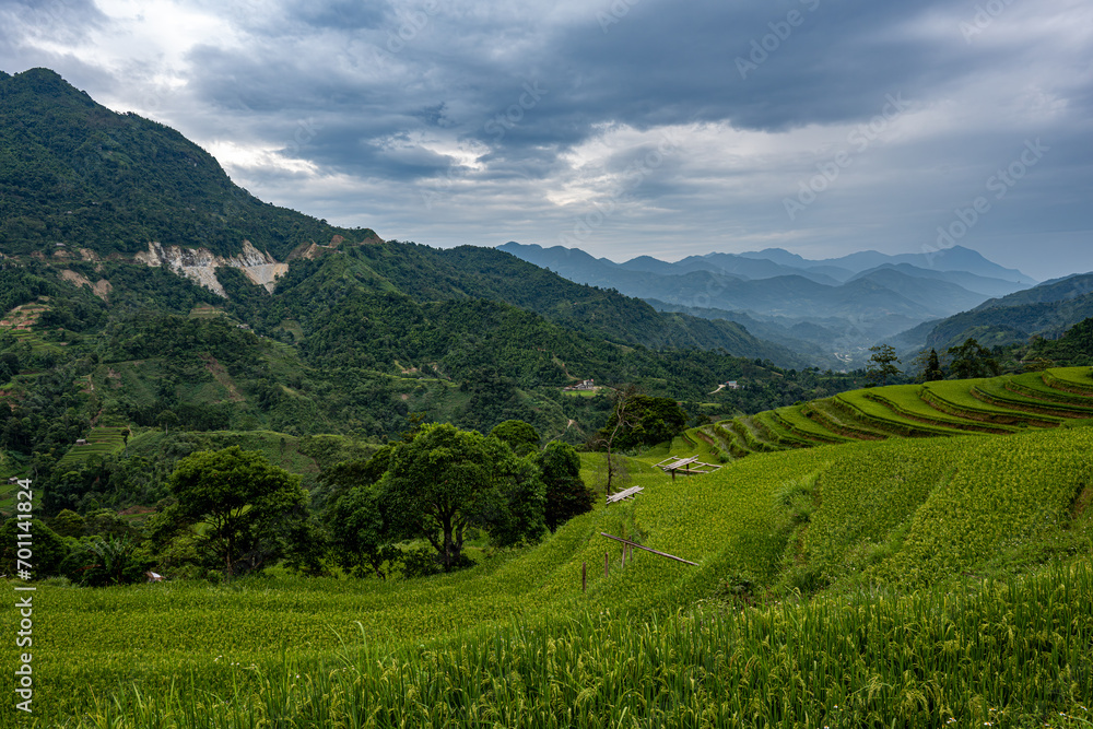 Mountain landscape with rice fields - Vietnam