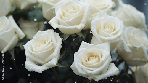 Long Stem White Rose Bouquet for Love Close up