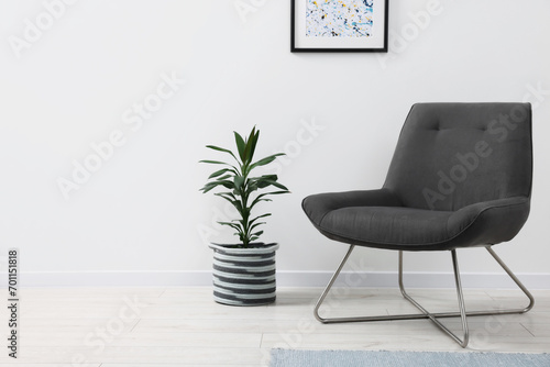 Comfortable armchair and houseplant near white wall indoors, space for text. Interior design