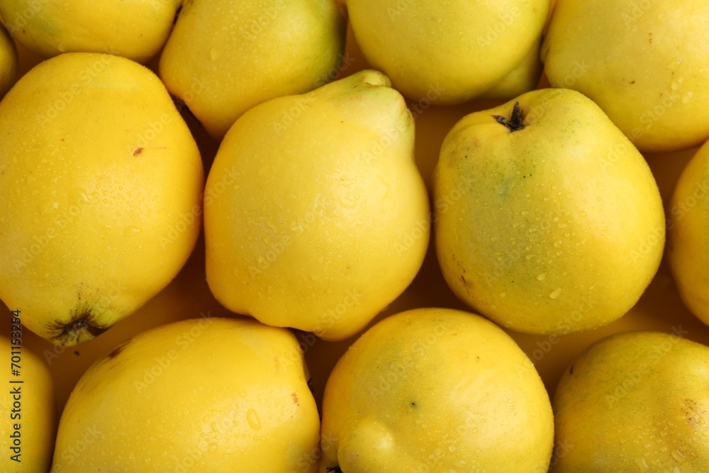 Delicious ripe quinces with water drops as background, top view Delicious ripe quinces with water drops as background, top view