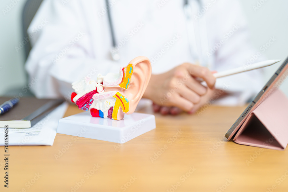 Doctor with human Ear anatomy model with tablet. Ear disease, Atresia