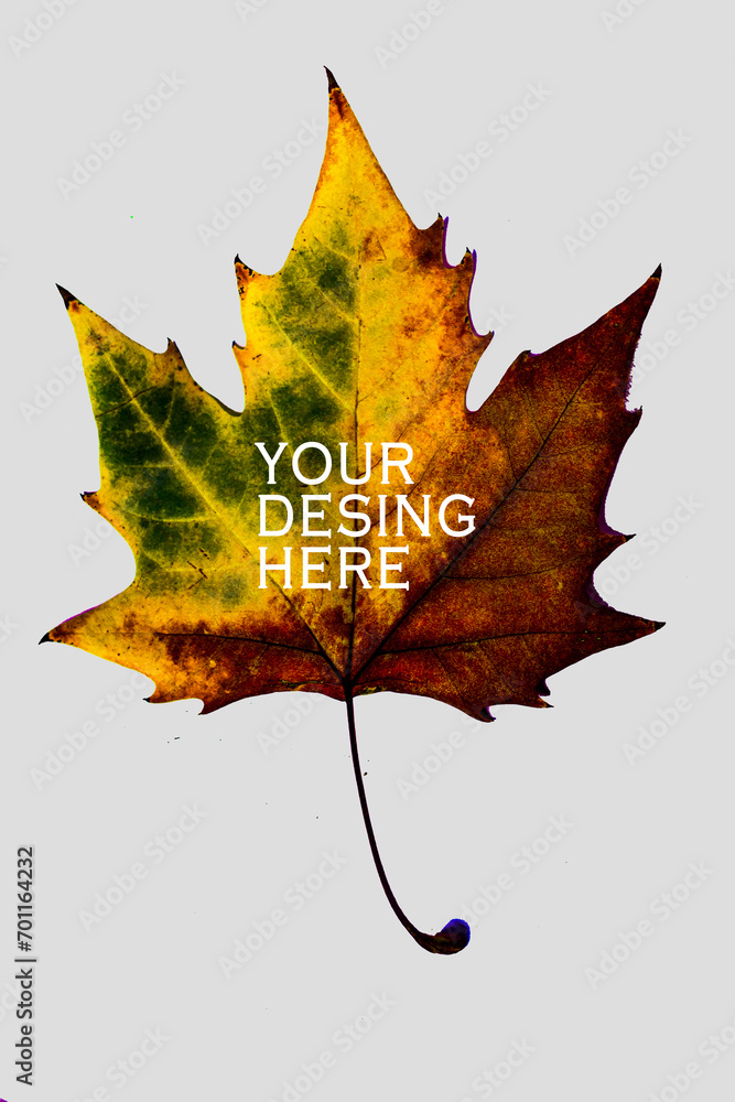 Naklejka premium Autumn fallen leaves, with three colors on top: yellow, green, greyish red, three color contrast, minimalist design elements and background, used for business cards, cards, packaging, book page illust