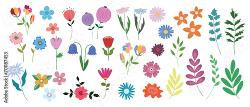 Vector set of flowers and twigs on a white background. Floral design elements.