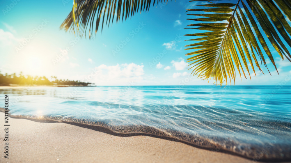 A tranquil beach scene with a palm frond silhouette framing the calm blue waters and soft sandy shore, bathed in sunlight.