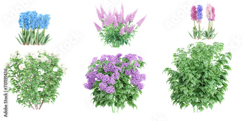 Heliotropium arborescens,hyacinths,Calycanthus chinensis,Astilbe Japonica,Viburnum flowers plants collection with realistic style photo