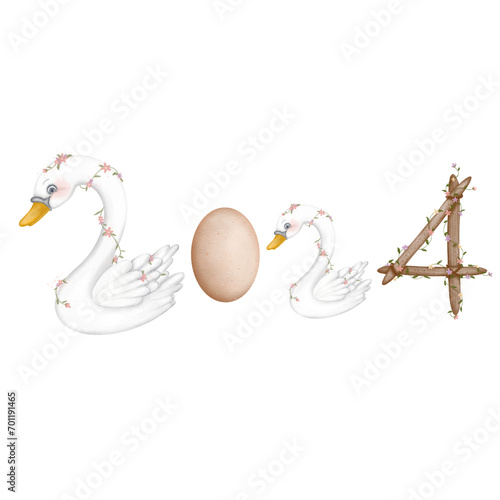 2024 swan