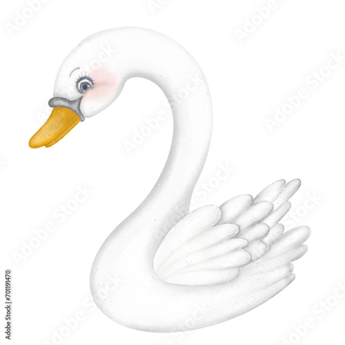 Swan