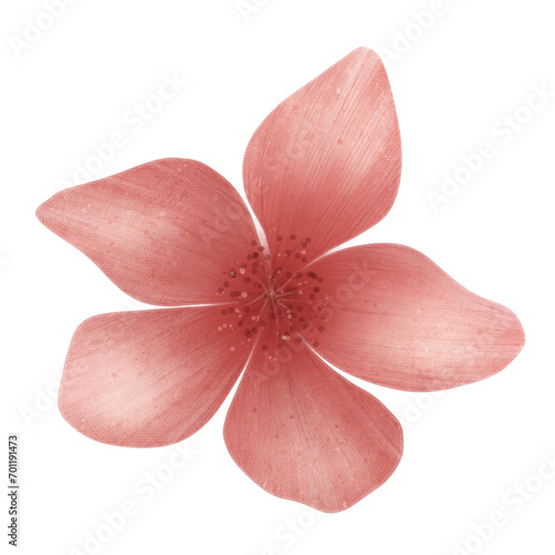 pink flower