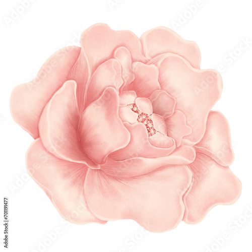 Peony