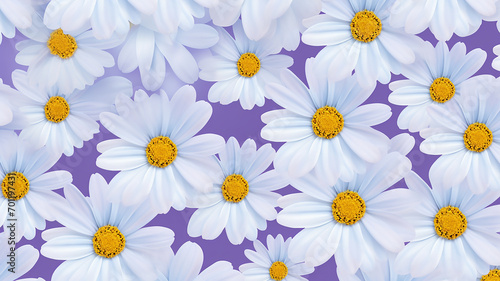 a purple and white daisy pattern