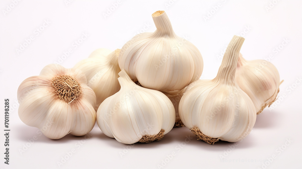 garlic on white background garlic on white background