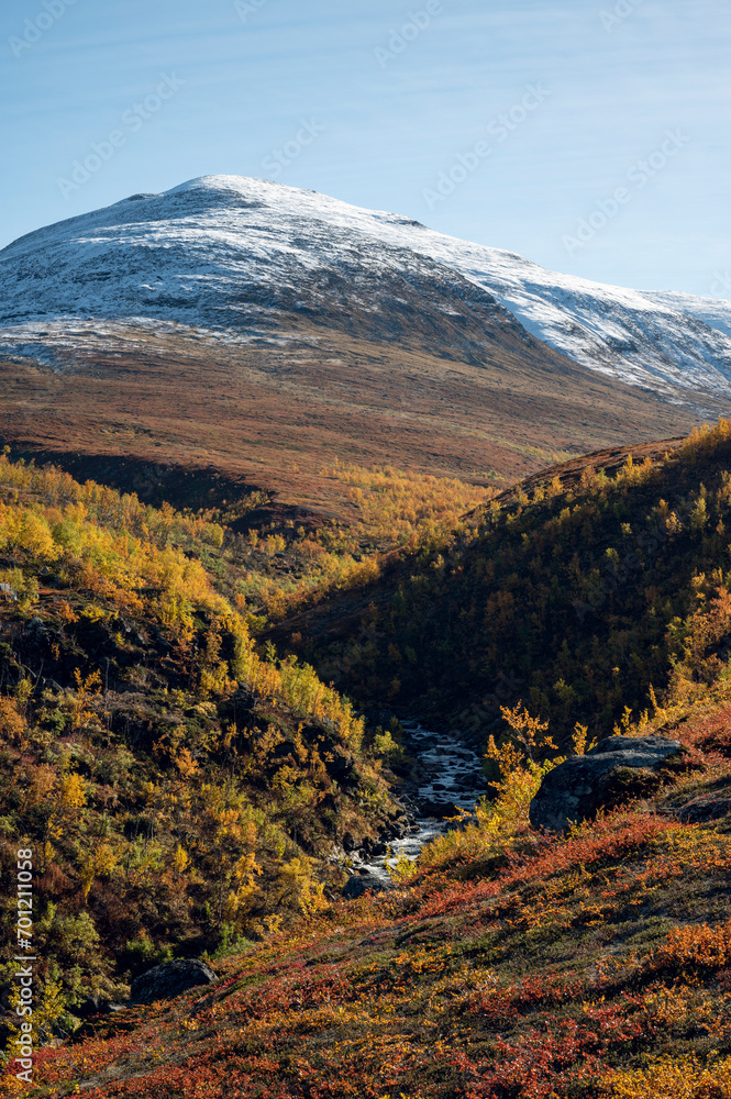 Autumn colors in the Swedish Mountains Autumn colors in the Swedish Mountains